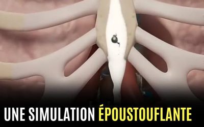 La simulation montre ce qui se passe lorsque le sperme pénètre dans votre corps