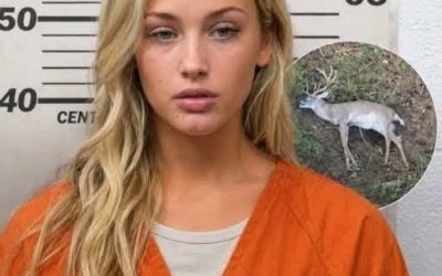 La police arrête un suspect dans une affaire de faune sauvage inhabituelle dans une région forestière des États-Unis.