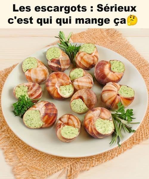 Escargots au Beurre Persillé – Recette Traditionnelle