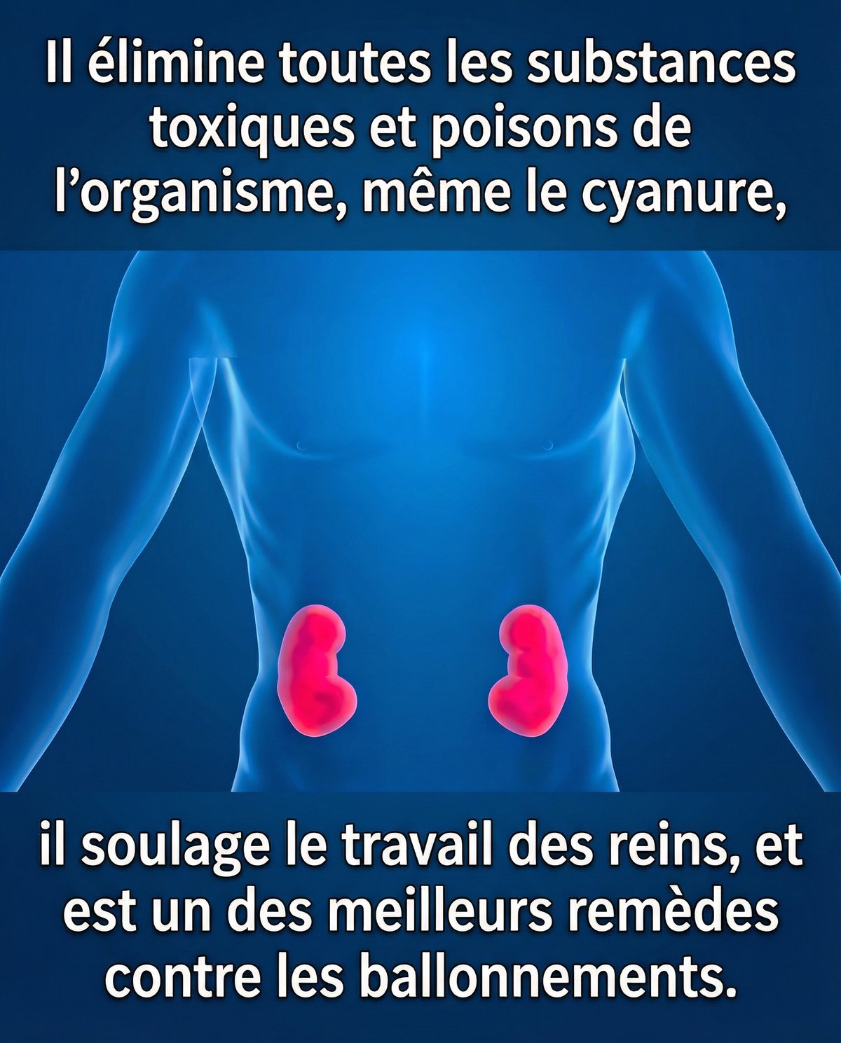 Un guérisseur dont vous ne pouvez vous passer : le charbon végétal activé