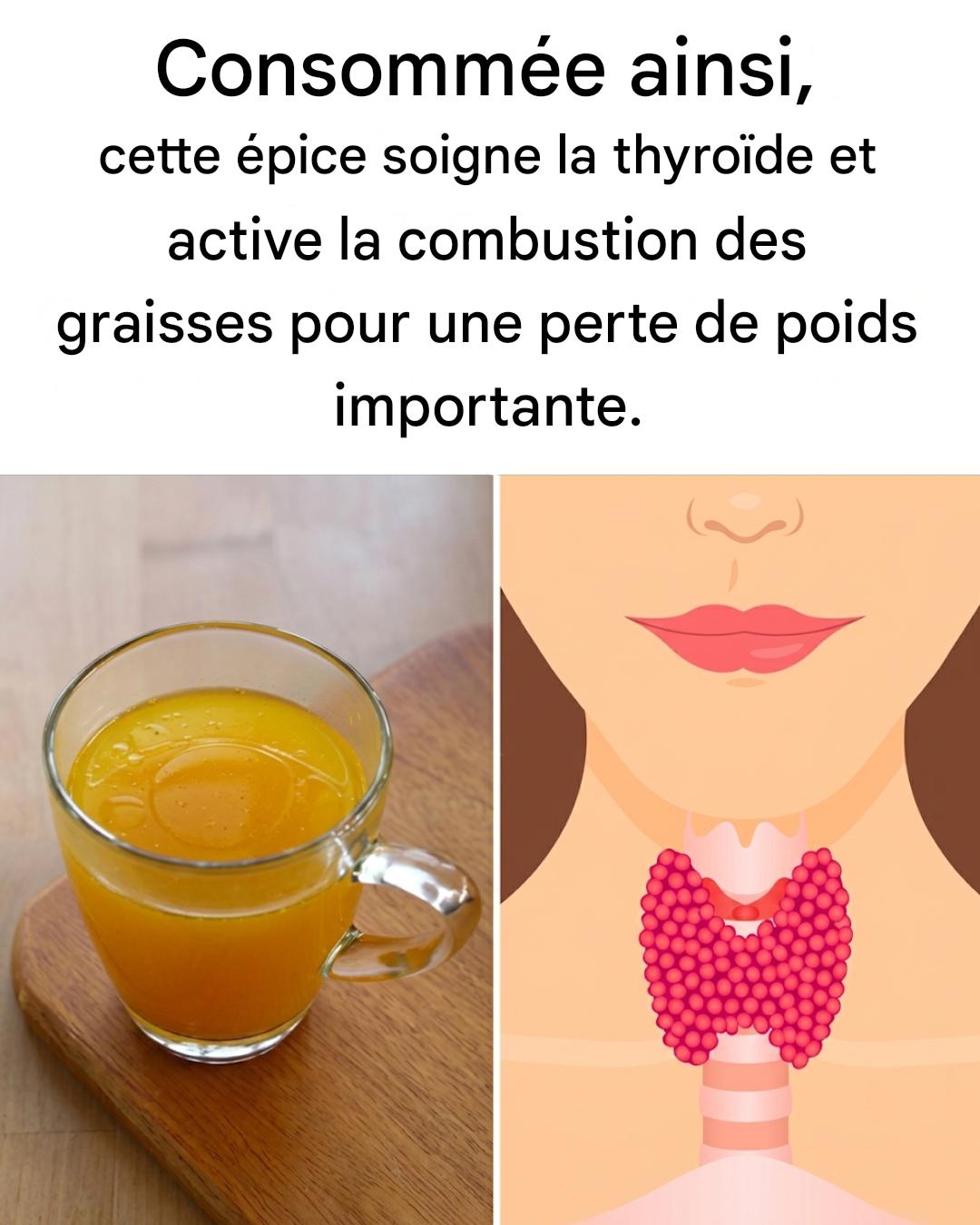 L’épice qui soigne la thyroïde, activant la combustion des graisses pour perdre 5 kilos par semaine