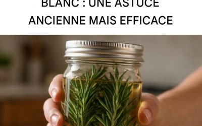 Une astuce de nos grands-mères : du romarin macéré dans du vin blanc