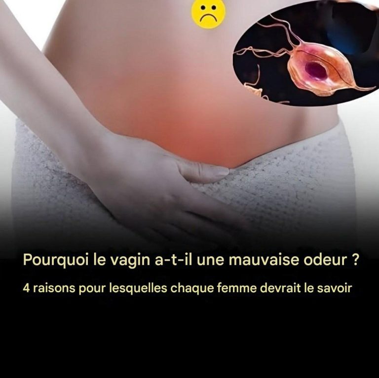 Pourquoi le vagin a-t-il une mauvaise odeur ? 4 raisons que chaque femme devrait connaître Lire le premier commentaire
