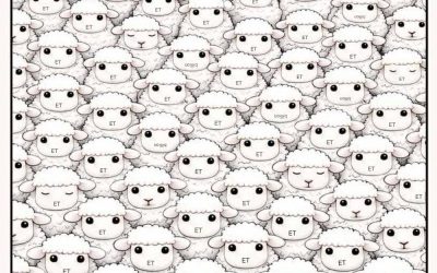Le nombre de moutons endormis que vous voyez détermine si vous êtes paresseux.