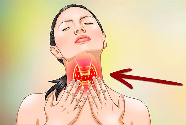5 vitamines pour l’hypothyroïdie et la maladie de Hashimoto (thyroïde sous-active)