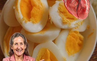 Les œufs révélés : la vérité surprenante sur la consommation quotidienne d’œufs