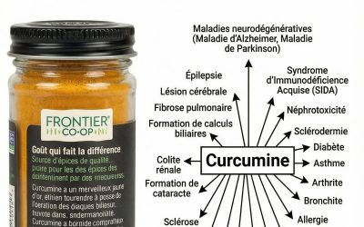 Comment faire monter en flèche la biodisponibilité du curcuma?