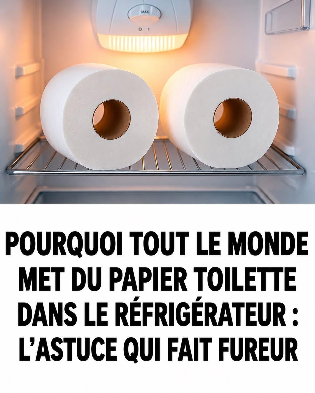 Pourquoi Est-il Rusé de Mettre un Rouleau de Papier Toilette au Frigo ?