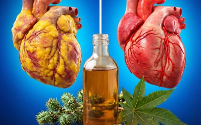 « Les secrets choquants de l’HUILE DE RICIN que Big Pharma ne veut pas que vous sachiez » | Dr Barbara O’Neill