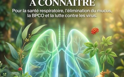 Les 10 meilleures plantes médicinales pour la santé des poumons, l’élimination du mucus, la bronchopneumopathie chronique obstructive et la lutte contre les virus