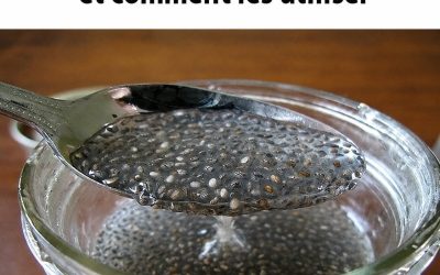 Pourquoi vous devriez manger des graines de chia tous les jours et comment les utiliser