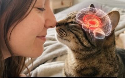 Pourquoi votre chat dort-il avec vous ? 10 raisons adorables qui vont vous émouvoir