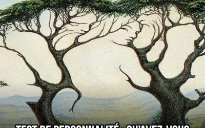 Test de personnalité : qu’avez-vous vu en premier ?