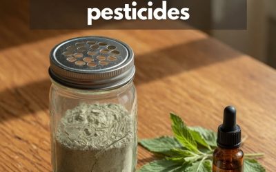 Poudre antipuces ultime : éliminez puces, tiques et moustiques rapidement