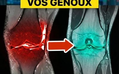 Le nutriment oublié qui reconstruit vos articulations