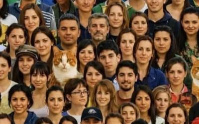 👀🐱 Si vos yeux sont en bonne santé, combien de chats y a-t-il sur la photo ? 😮
