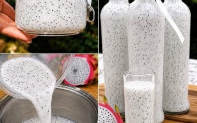 Recette Professionnelle de Jus Concentré de Pitaya Blanche (Fruit du Dragon Blanc)