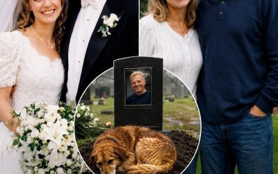 Le chien sur la tombe de mon mari pendant quatorze jours : quand j’ai enlevé son collier abîmé, j’ai trouvé un mot qui m’a fait pâlir.