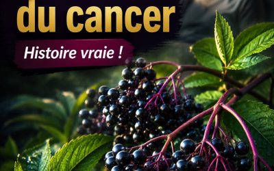 Lutte pour la vie : la plante qui m’a sauvé du cancer – Histoire vraie !