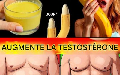 🌿 Soutien naturel de la testostérone après 50 ans : des méthodes douces pour retrouver votre énergie