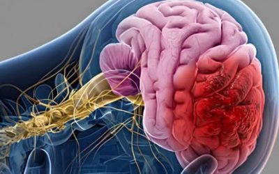 Trois gestes du matin qui pourraient, sans que vous le sachiez, fragiliser votre cerveau