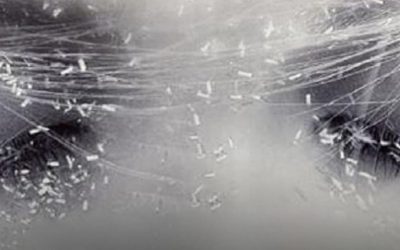 Les signes du zodiaque qui ont un sixième sens surnaturel, ils ne se trompent jamais