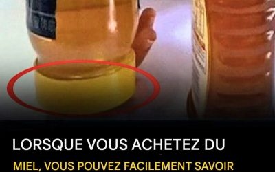 Le faux miel envahit le marché comment repérer le vrai miel ?