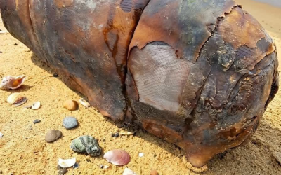 Je marchais le long de la plage quand je suis soudainement tombé sur cet étrange objet — je le fixe depuis une heure et je n’arrive toujours pas à comprendre ce que c’est…