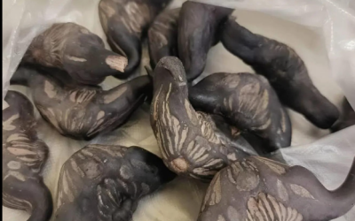 Mes voisins étrangers m’ont donné ceci et m’ont souhaité un bon appétit — mais c’était dur et ça ne ressemblait en rien à de la nourriture