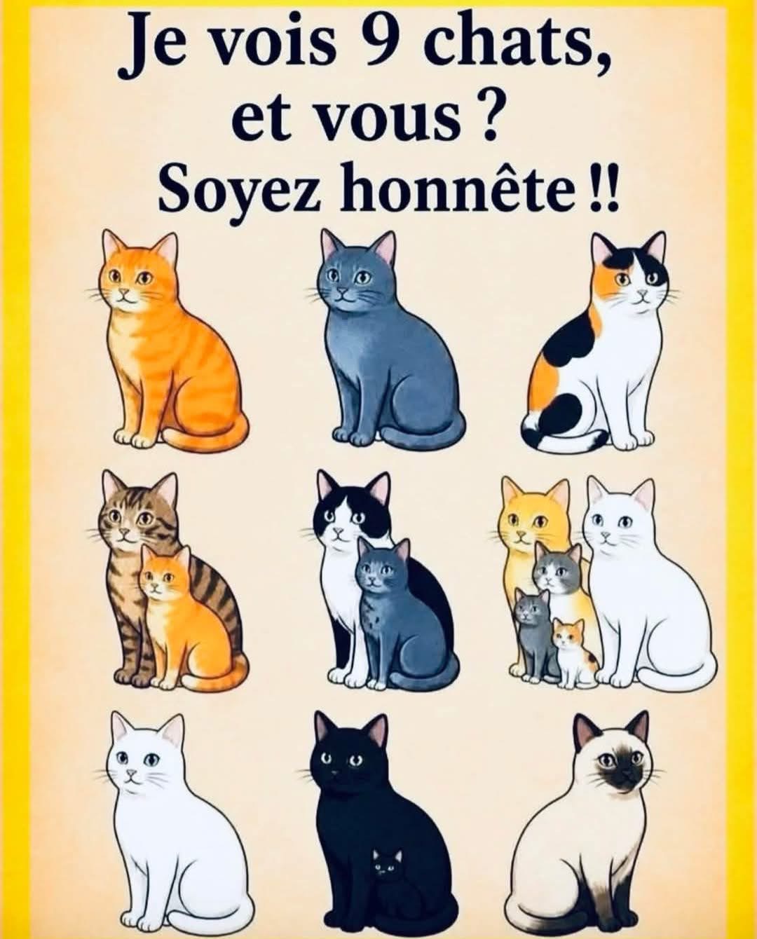 Combien de chats avez-vous vus ? 🐱👀