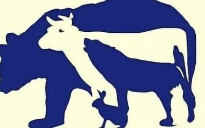 Parviendrez-vous à trouver les 10 animaux cachés dans cette image ?