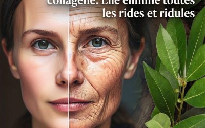 La feuille de laurier est des millions de fois plus puissante que le Botox et le collagène. Elle élimine toutes les rides et ridules.