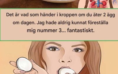 Hvad sker der med din krop, hvis du spiser to æg om dagen?