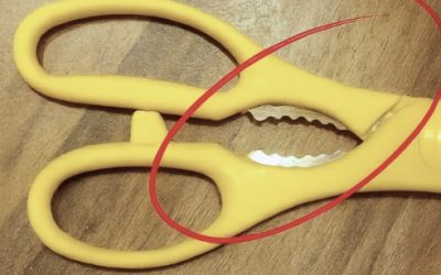 À quoi sert cette étrange partie dentelée sur les ciseaux de cuisine ?