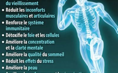 Le Roi de tous les Antioxydants (lien en commentaire)