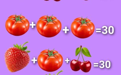 Petit défi mathématique ! Qui a raison ?Petit défi mathématique ! Qui a raison ?