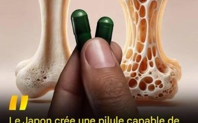 🦴Une pilule quotidienne pour reconstruire les os ? De nouvelles recherches offrent un espoir pour l’ostéoporose