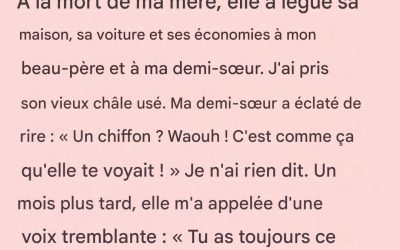 On s’est moqué de moi parce que j’avais hérité d’un « chiffon sans valeur », jusqu’à ce que la vérité éclate enfin.