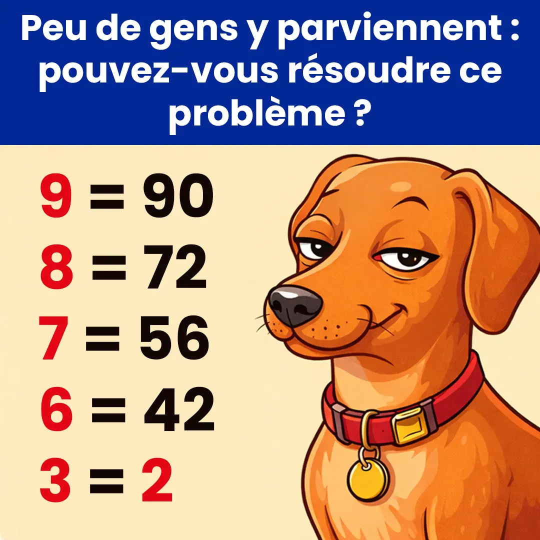 Ce casse-tête mathématique complexe mettra vos compétences en résolution de problèmes à rude épreuve. Saurez-vous le résoudre ?