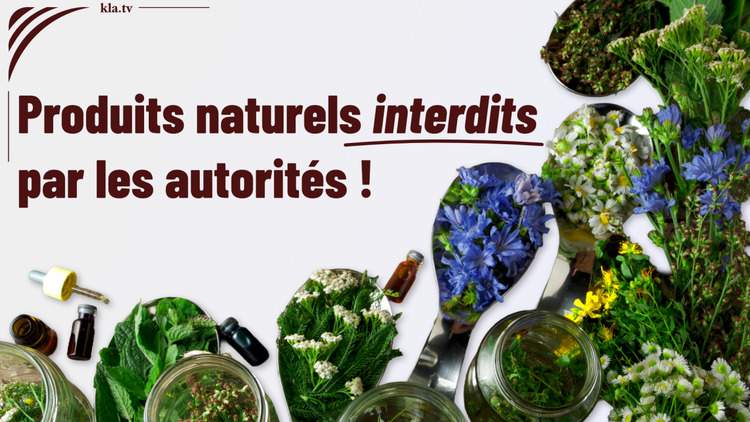 Produits naturels interdits par les autorités : un programme mondial inquiétant