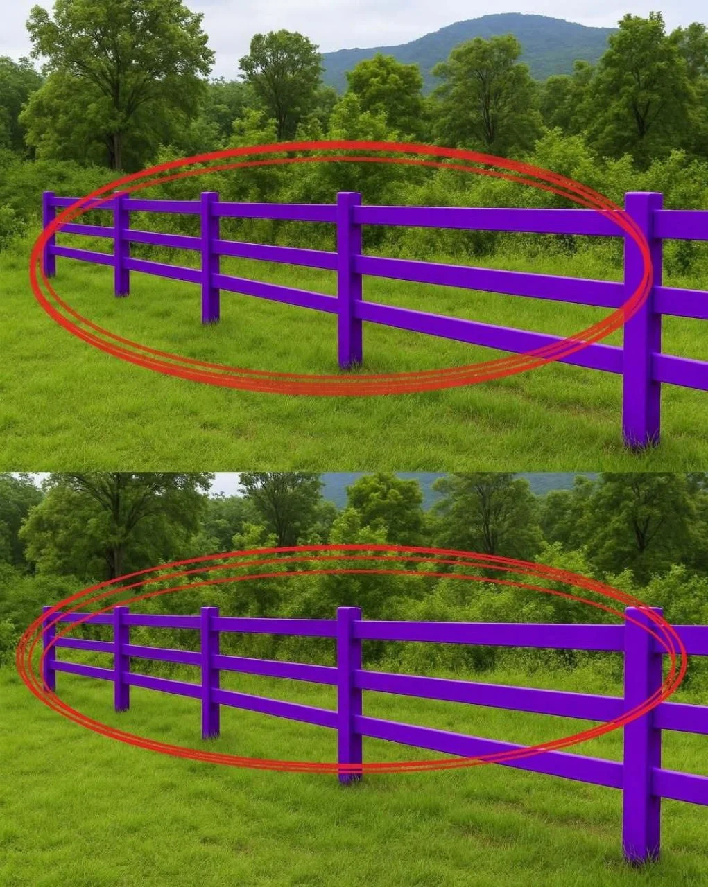 Si vous apercevez une clôture peinte en violet, voici ce que cela signifie.