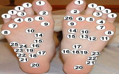 Chaque point situé sur vos pieds est relié à un organe. C’est ainsi que vous pouvez vous soigner !