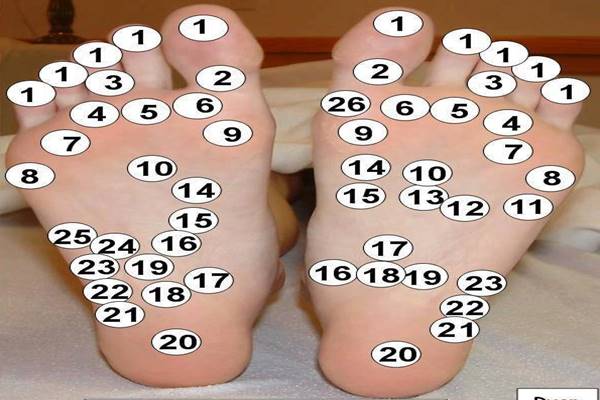 Chaque point situé sur vos pieds est relié à un organe. C’est ainsi que vous pouvez vous soigner !