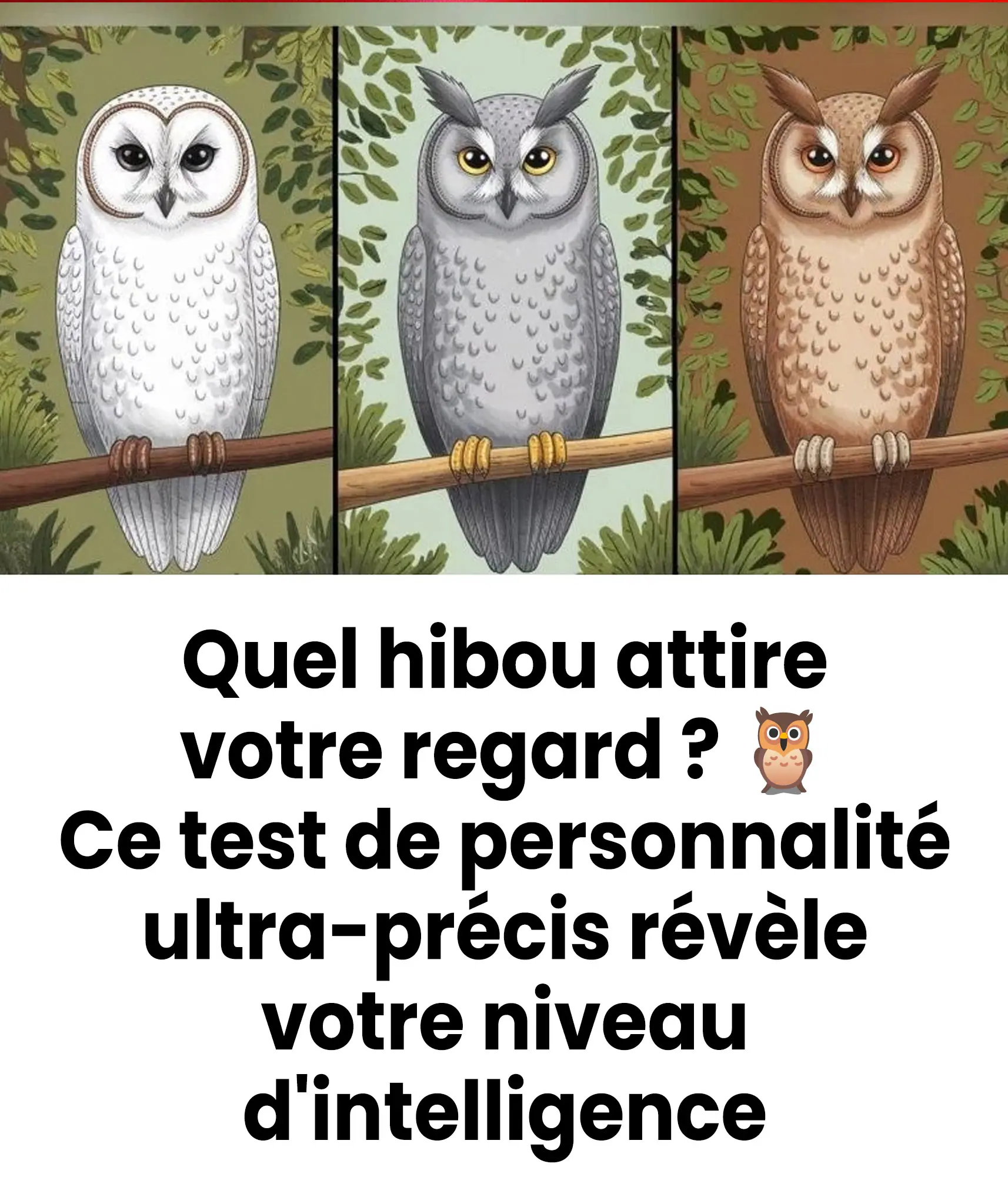 Et si un simple hibou révélait la singularité de votre esprit ? Voici ce que votre choix instinctif dévoile sur votre façon de penser.
