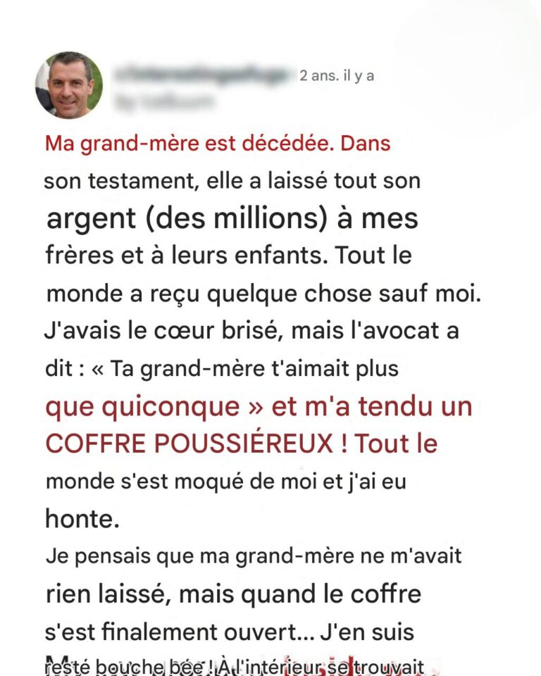 Une grand-mère exclut son plus jeune petit-fils de son testament et ne lui laisse qu’un coffre poussiéreux – L’histoire du jour