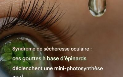 Syndrome de l’œil sec : ces gouttes à base d’épinards déclenchent une mini-photosynthèse qui pourrait tout changer.