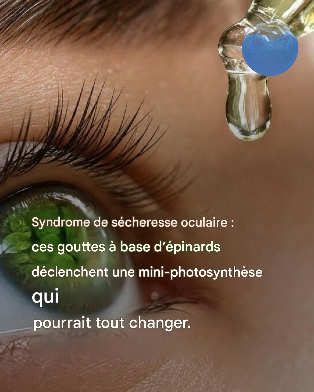Syndrome de l’œil sec : ces gouttes à base d’épinards déclenchent une mini-photosynthèse qui pourrait tout changer.