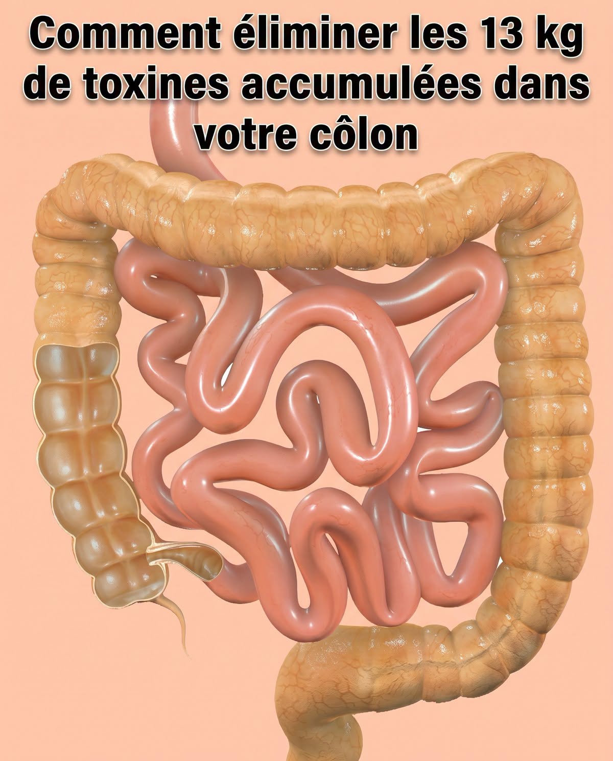 Vous avez environ 13,5 kg de poison dans votre colon voici comment vous en débarrasser.