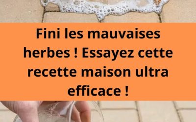 Fini les mauvaises herbes ! Essayez cette recette maison ultra efficace !