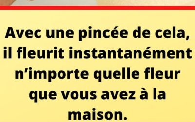 Avec une pincée de cela, il fleurit instantanément n’importe quelle fleur que vous avez à la maison. – haustiersos